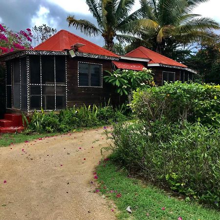 Moringa Ingadi Village Treasure Beach Bagian luar foto