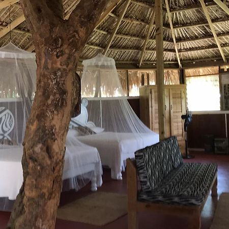 Moringa Ingadi Village Treasure Beach Bagian luar foto