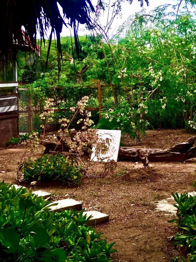 Moringa Ingadi Village Treasure Beach Bagian luar foto