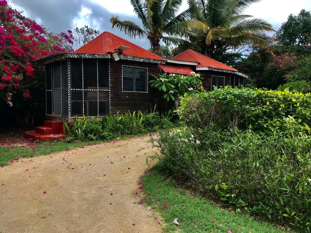 Moringa Ingadi Village Treasure Beach Bagian luar foto