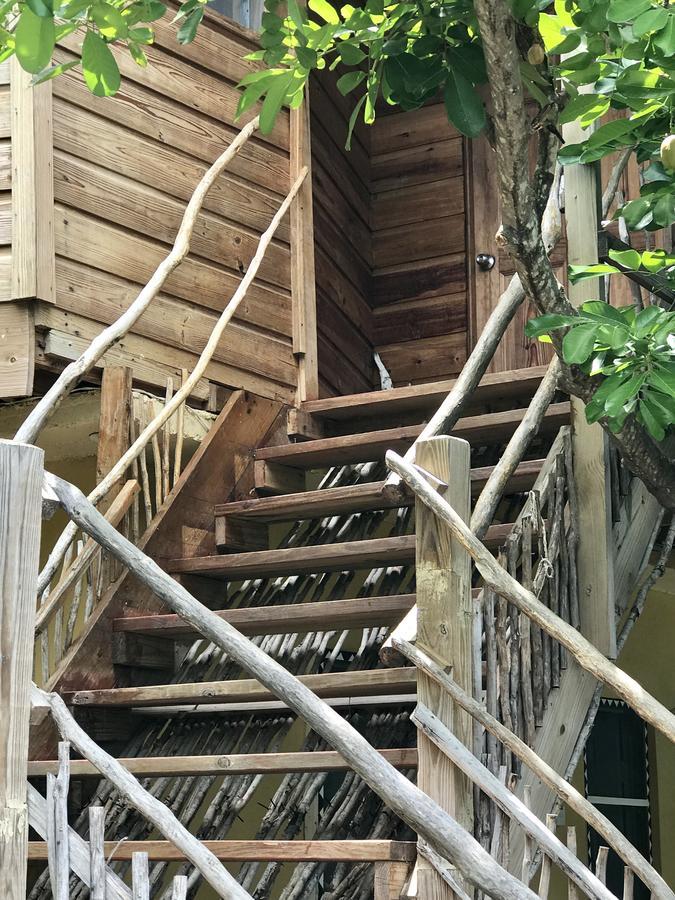 Moringa Ingadi Village Treasure Beach Bagian luar foto