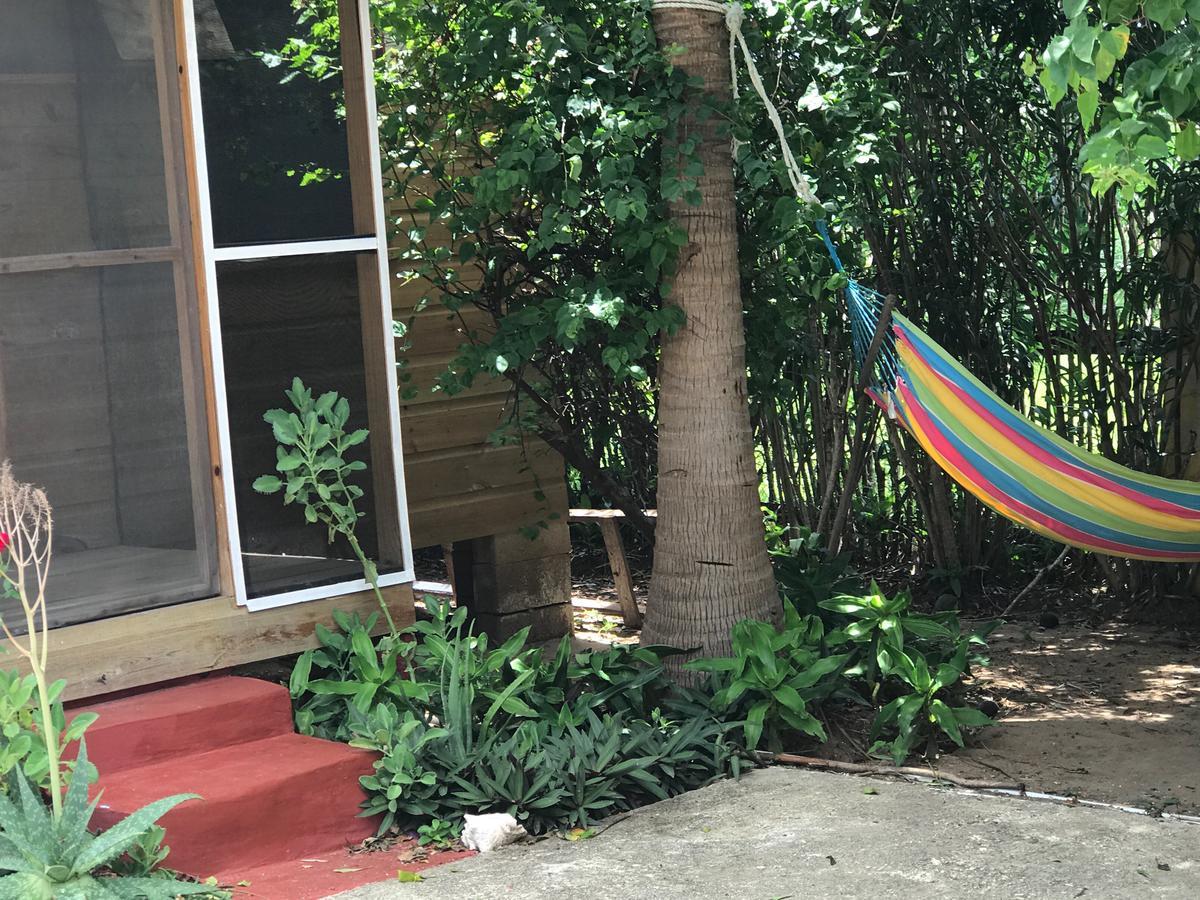 Moringa Ingadi Village Treasure Beach Bagian luar foto