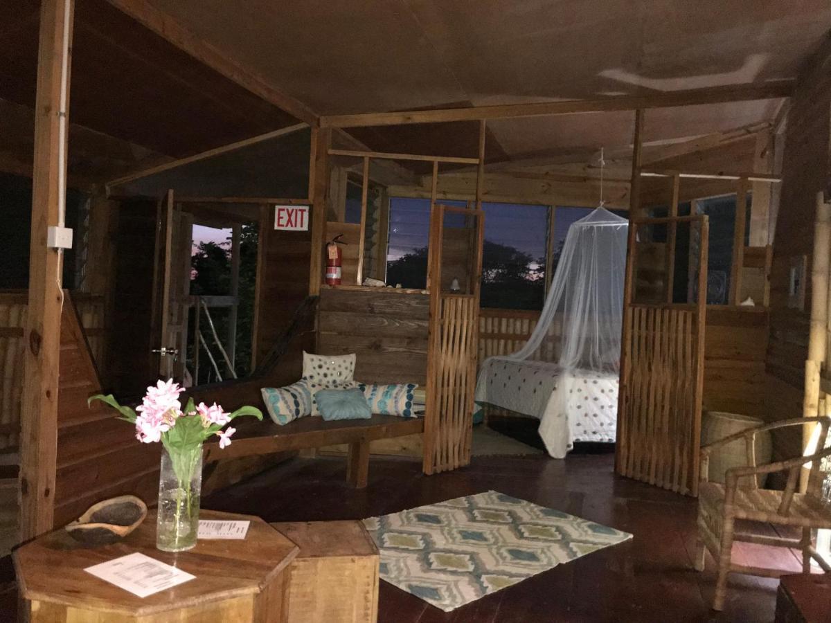 Moringa Ingadi Village Treasure Beach Bagian luar foto